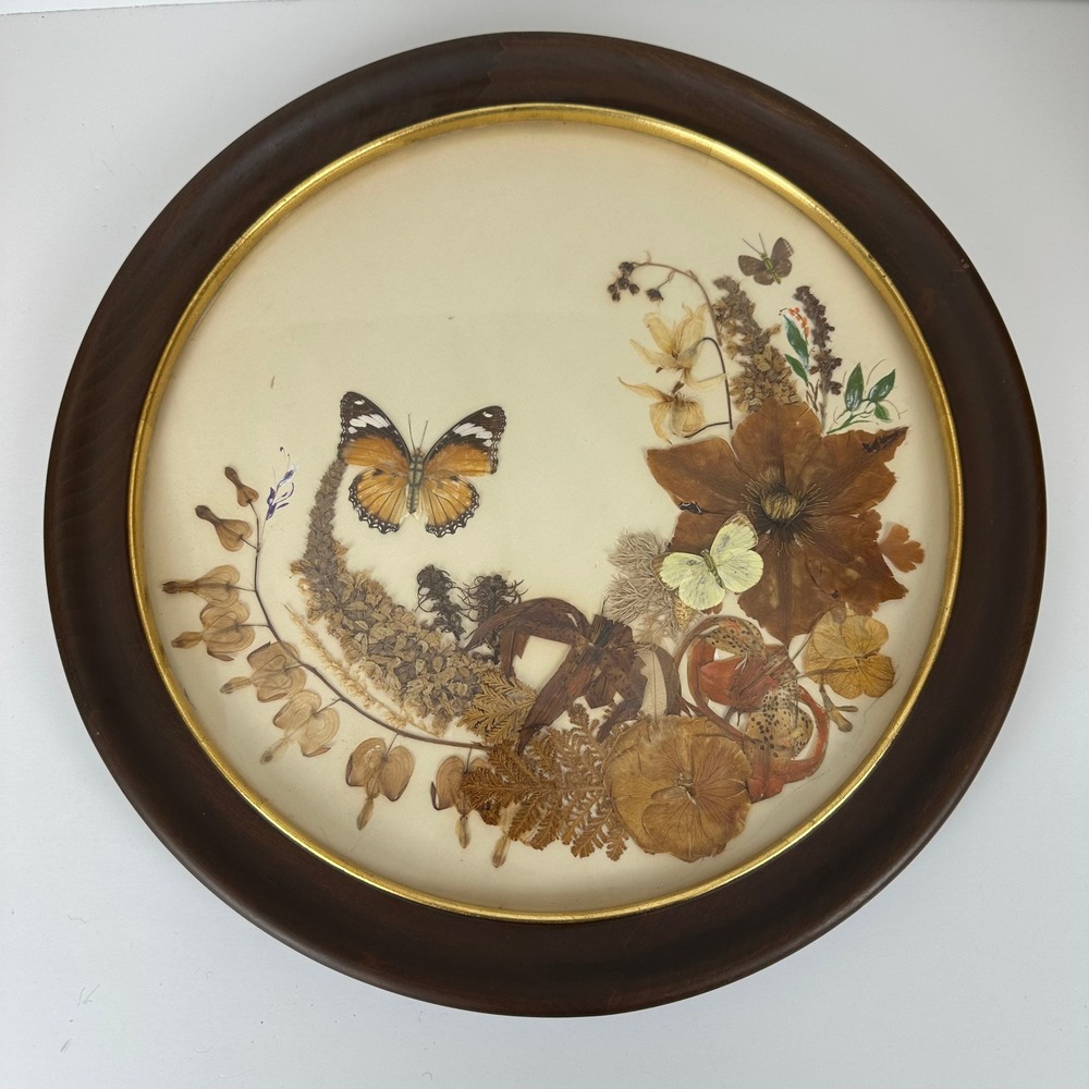 Vtg MCM Clyde L Smith Butterfly Dried Flower Taxidermy Round Wood Frame Wall Art